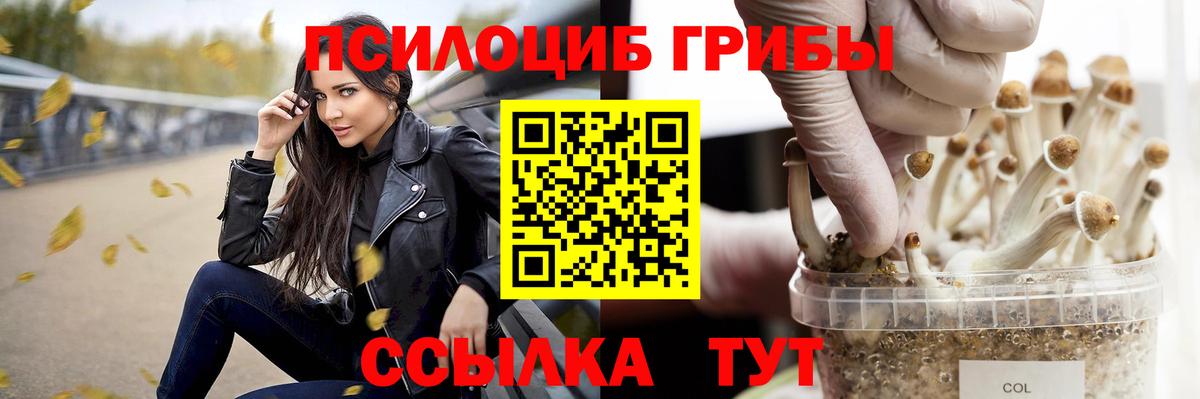 Галлюциногенные грибы Cubensis Ялта